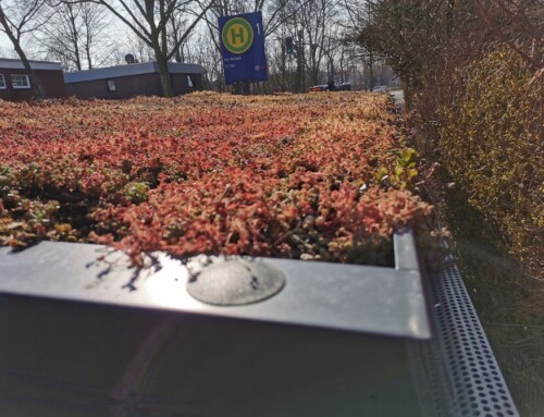 BV Rheinhausen – Anfrage: Begrünung der Duisburger Haltestellen