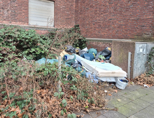 BV Hamborn – Prüfantrag: Prüfung ordnungsrechtlicher Maßnahmen in der Ziegelhorststraße, Duisburg Hamborn