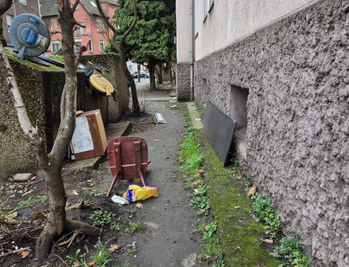 BV Hamborn – Prüfantrag: Prüfung ordnungsrechtlicher Maßnahmen in der Wilfriedstraße, Duisburg Hamborn