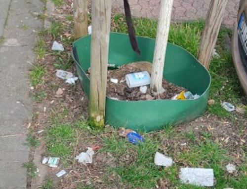 BV Walsum – Antrag: Reinigung der Parkplatzfläche auf der Bahnhofstraße zwischen der Vennbruchschule und Hausnummer 108 einschließlich angrenzender Grünanlagen in 47178 Duisburg-Walsum